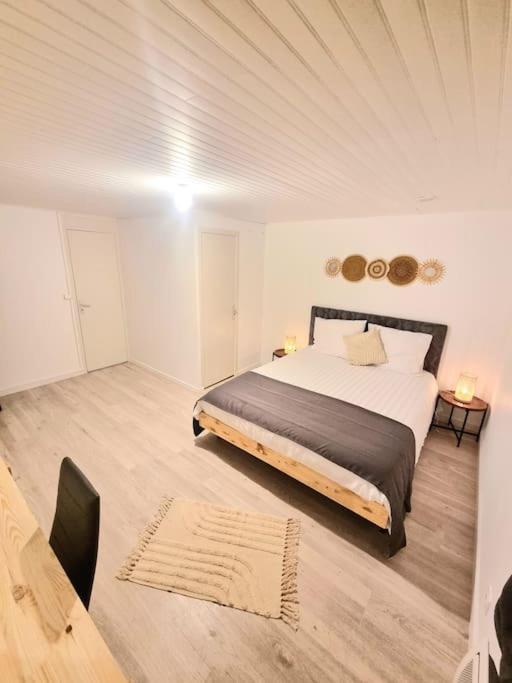 Appartement Neuf Rive-de-Gier Exteriér fotografie